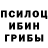 Псилоцибиновые грибы Psilocybine cubensis Serezha Ribin