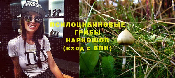 кокаин колумбия Белокуриха