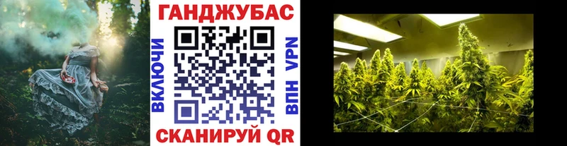 купить закладку Облучье Шишки марихуана планчик